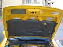 IMG_0841.JPG