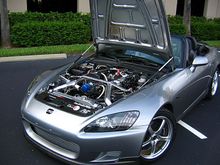 IMG_1299.jpg