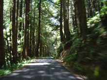 Skaggs Drive 032.jpg