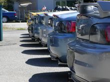 Line of rears.jpg