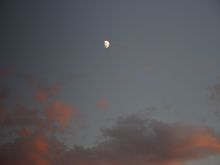 moonshine039.jpg