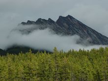 DSC_0132.JPG