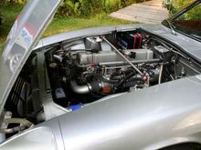 IMG_2984.jpg