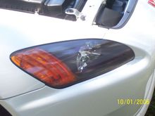 100_0704.jpg