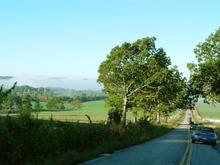 DSC09419 (Large).jpg