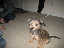 Picture 082.jpg