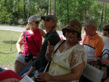 Manatee 7.jpg