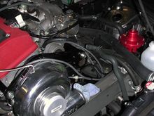 DSCN4240_resize.JPG