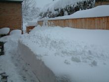 Backyard_3-19-03.JPG