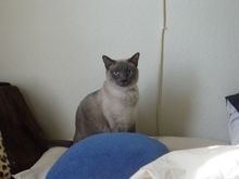 DSC00118.JPG