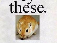 265873_71.jpg