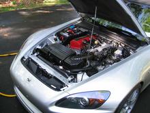 IMG_0125 (Large).JPG
