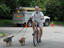 Dogs bike run 011.jpg