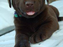 Hunter 2007-06-13_143.jpg