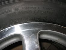 IMG_5544.jpg