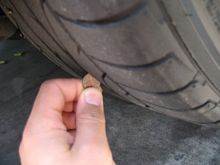 RIms 05 018.jpg