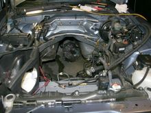 motorout6.jpg