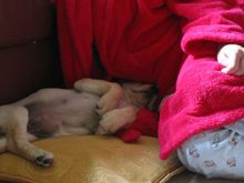 IMG_0283.JPG