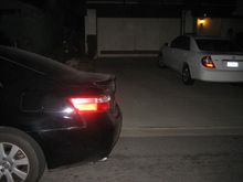 IMG_3283.jpg
