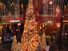 IMG_5459.JPG