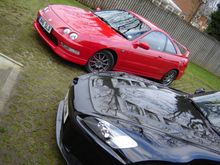 DSC00410.jpg