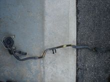 DSC01487.JPG