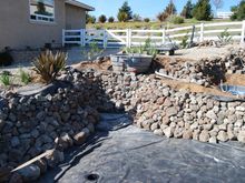 Pond Makeover 2008-02-16_8a.jpg