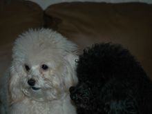 DSC_0006.JPG