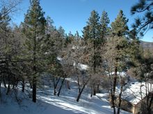 DSC_0656.JPG