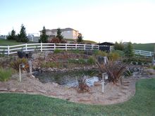 Pond Makeover 2008-03-04.JPG