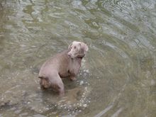 IMGP0383.JPG