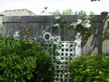 DSCN7188.JPG