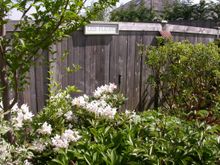 DSCN7190.JPG