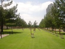 Oklahoma Trip 2008 589.JPG