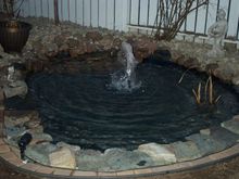 Yard Pond 2008 002.jpg