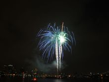 DSC_7336.JPG