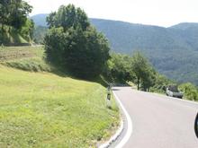 IMG_0033 (Large).JPG