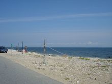 DSC01999a.jpg