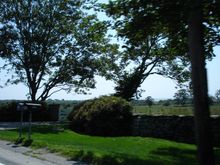 DSC01987a.jpg