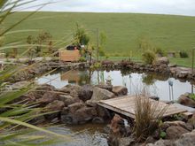 yard 2006b.jpg