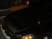 Amuse Vented Hood (Replica)