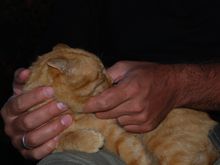 DSC_5569.JPG