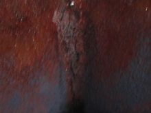 033.JPG