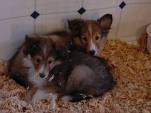 DSC01040.JPG