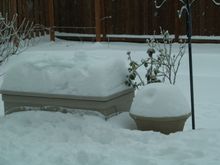 PC222419.JPG