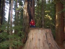 Pulling on the 2nd tee!