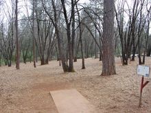 Hole 1 Condon Park...  275', downhill, do not overshoot.
