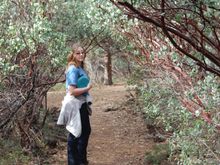 Trail leading to hole 7.  Through Manzanita grove...   PRETT