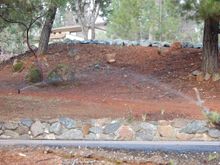 Zone 1 Irrigation