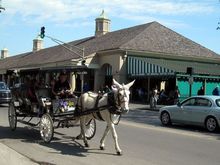 06 cafe du monde.jpg
